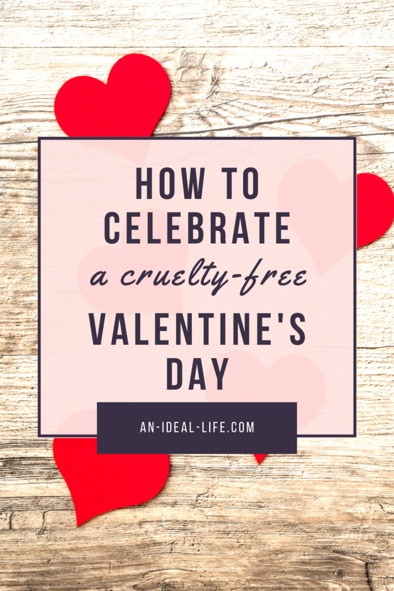 The Ultimate Guide to a Cruelty-Free Valentine’s Day