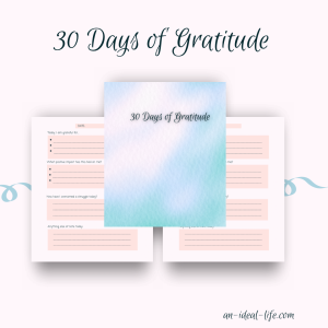 30 Days of Gratitude product image