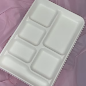 One of several sugarcane trays with six compartments, placed on a pink surface.